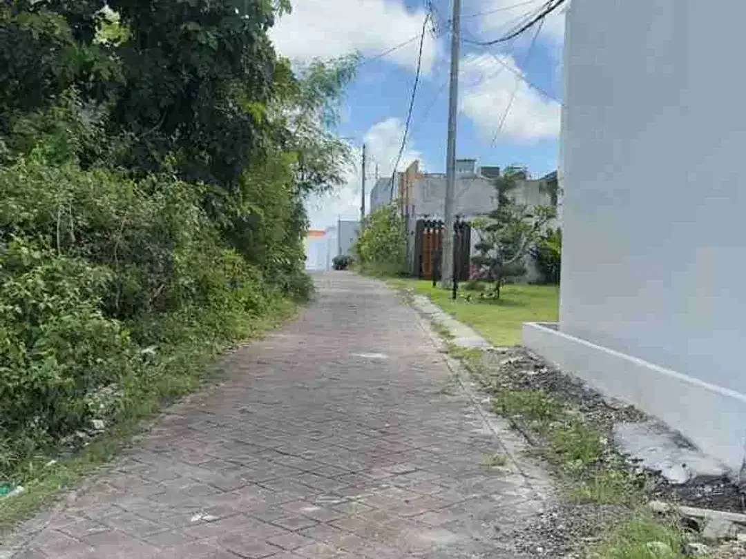 JUAL CEPAT TANAH Luas 255m Jl Utama Gubug Sari Kutuh Zona Kuning area Strategis Investasi.ta1 - Image 5 of 10