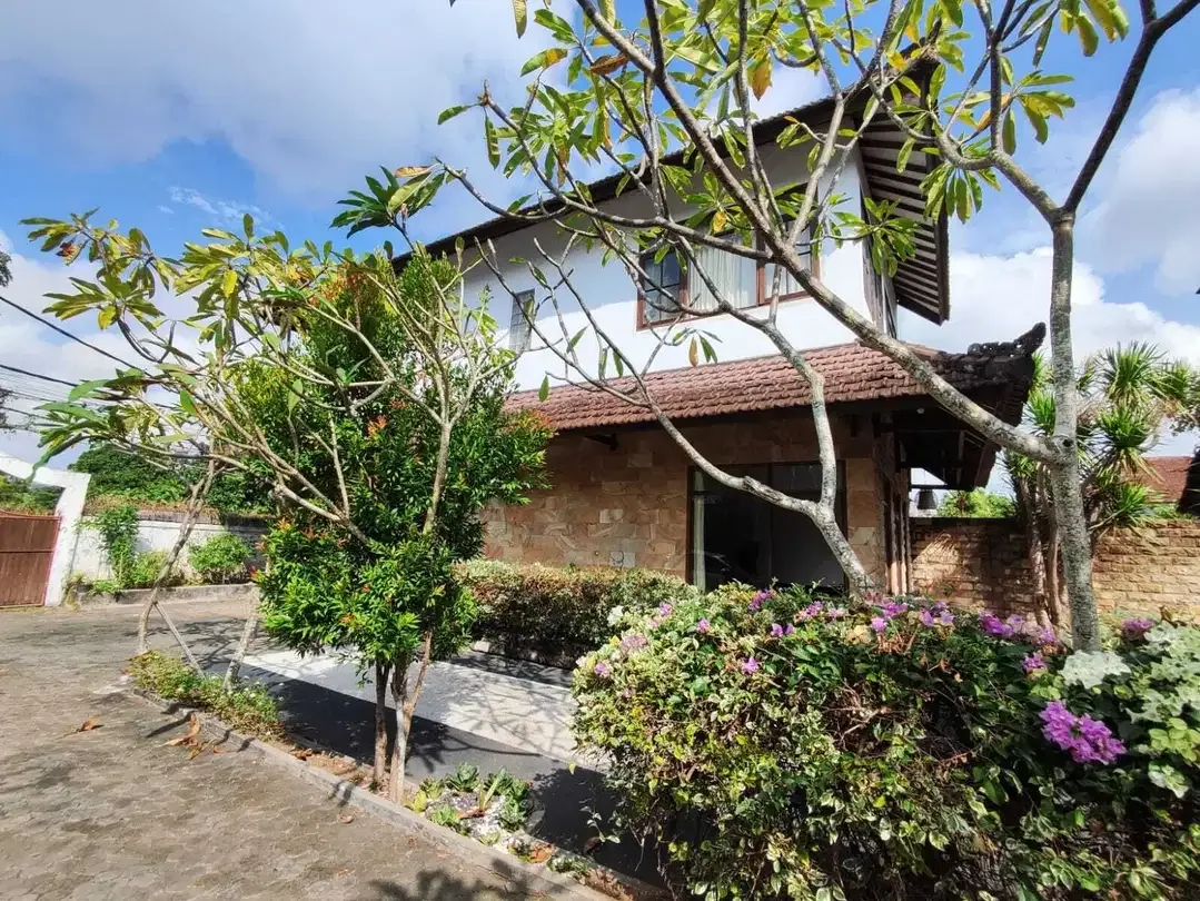 rumah 5 kmr di jimbaran bawah,strategis area,jln besar,dkt pasar - Image 5 of 10