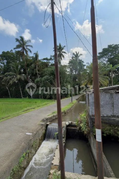 Tanah Datar Akses Mobil Pejeng Gianyar - Image 4 of 4