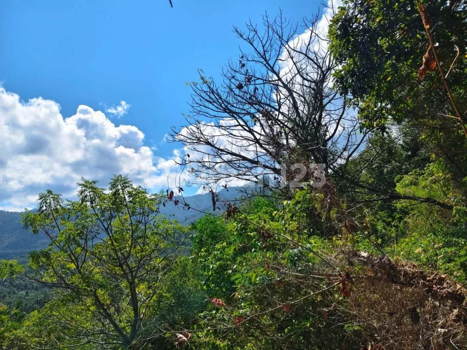 For Sale 3 Hektar Land Close To Alila Resort And Pecan View - Image 4 of 4