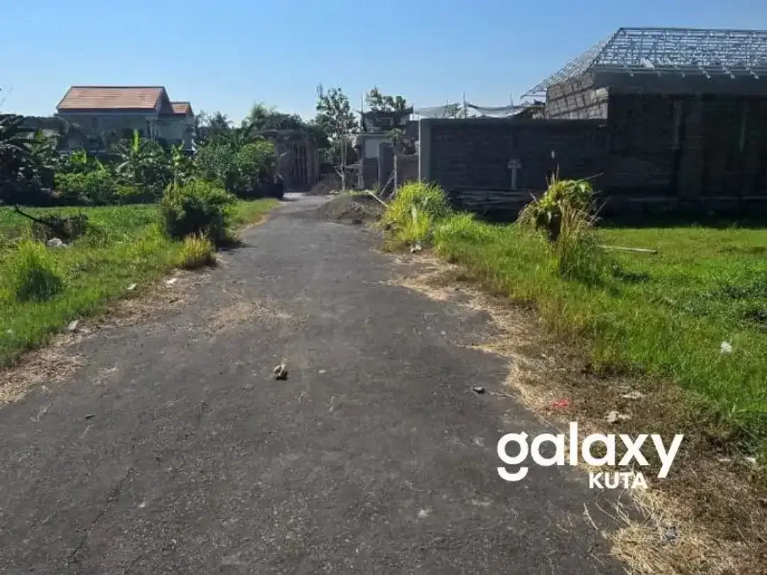 DIJUAL TANAH DEKAT PANTAI LOVINA DI SERIRIT SINGARAJA - Image 2 of 5