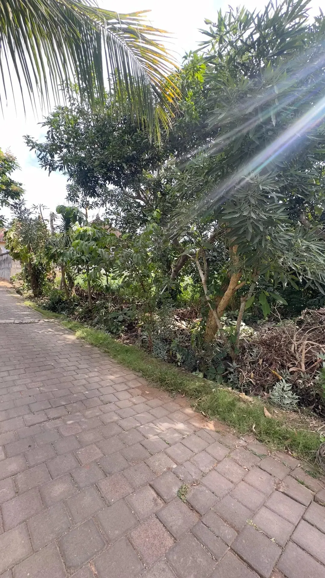 Dijual Tanah Plot Kecill 200m2 di Kawasan Bingin Uluwatu Bali - Image 3 of 10