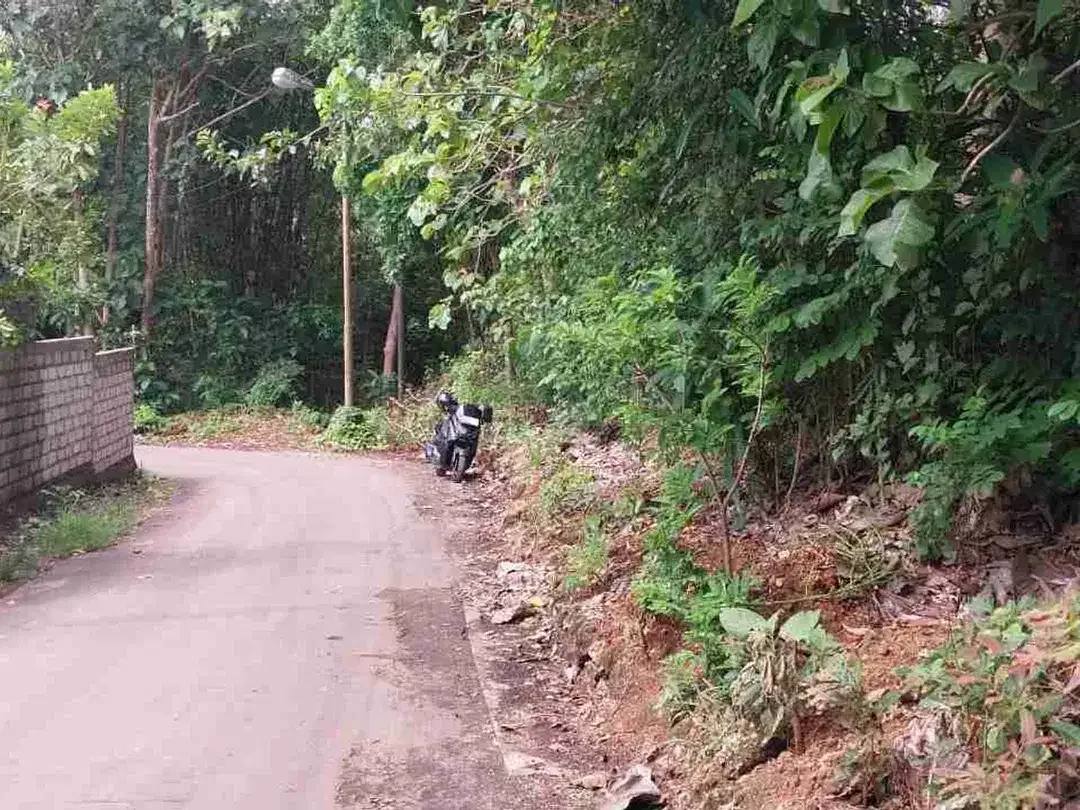 dijual tanah 19,80 are Kawasan Nyang Nyang beach pecatu 850 juta per are - Image 3 of 10