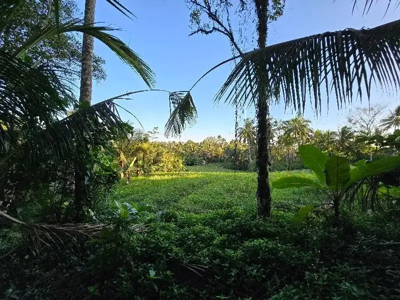 DIJUAL TANAH murah DENGAN VIEW SAWAH cantik dekat villa di bali - Image 5 of 10