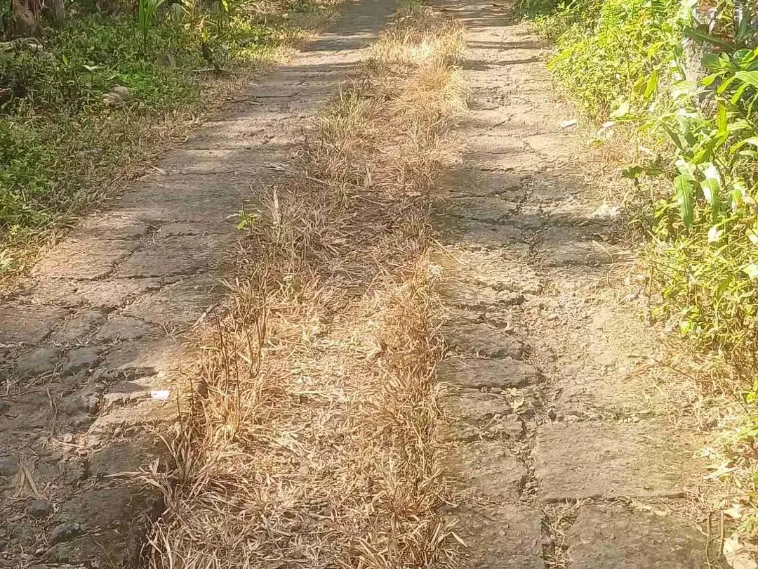 Dijual Tanah Kebun - Image 1 of 10