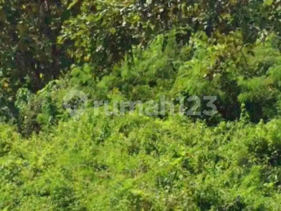 380 Juta Per Are Dijual Cepat Tanah Jimbaran - Image 2 of 6