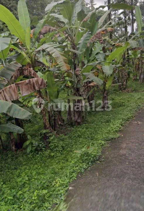 Tanah Dekat Air Terjun Tabanan #Tj0509rl - Image 4 of 4