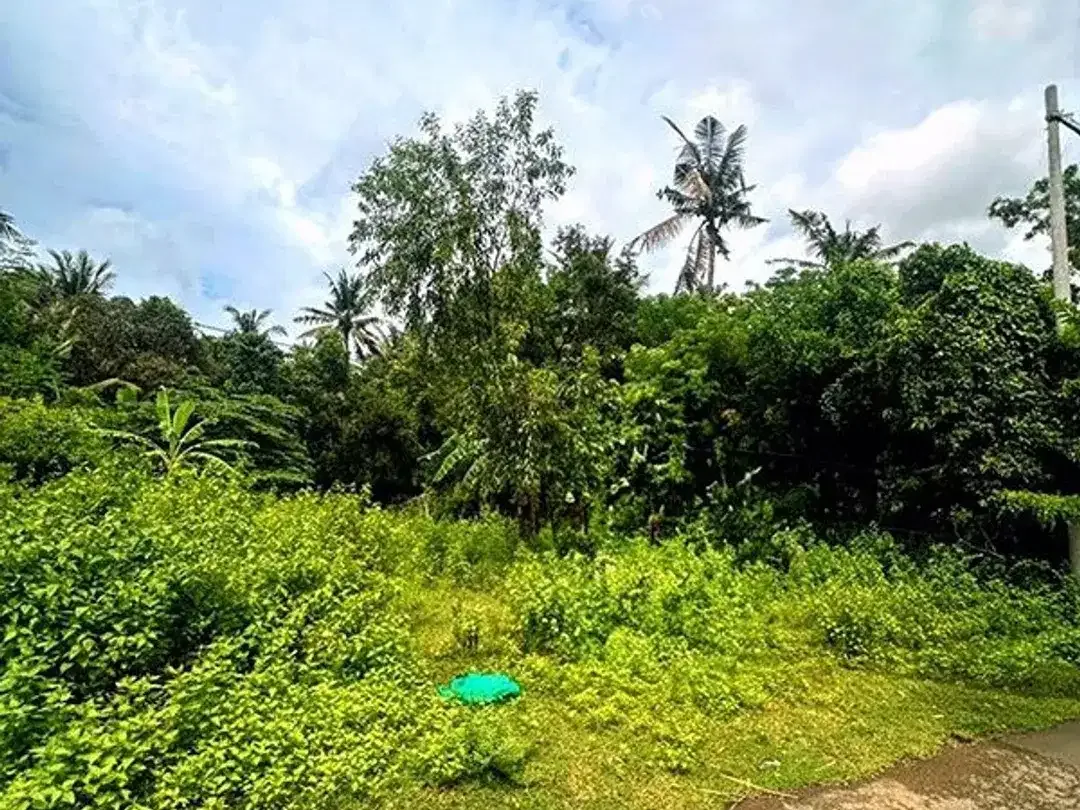 [AMS-018.DKA]  Tanah Premium Dijual Dekat Virgin Beach Bukit Asah Karangasem – Akses Langsung Pantai - Image 6 of 10