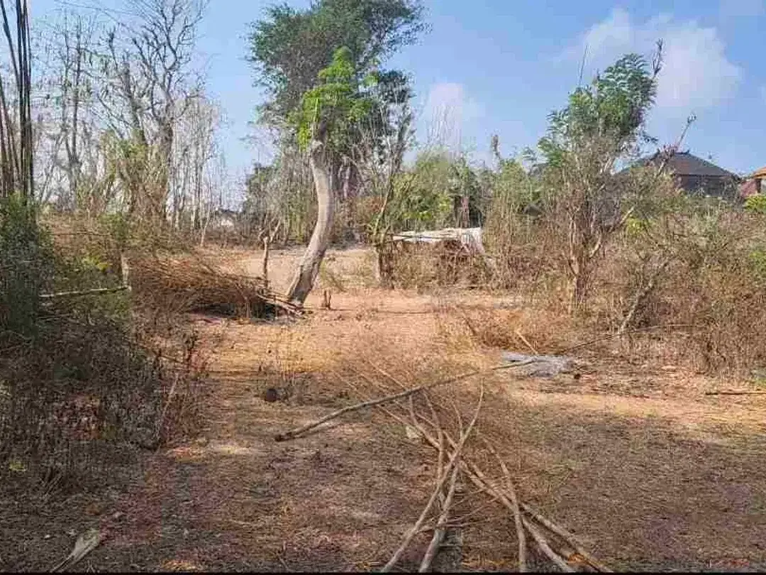 Tanah kecil siap bangun di Kutuh hanya 3 kilo ke. pantai Pandawa - Image 7 of 7