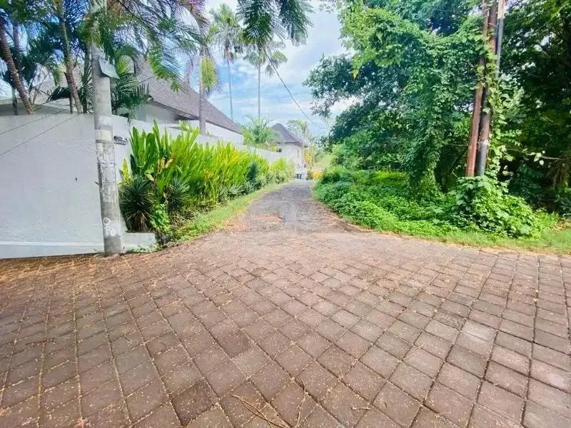 Tanah Sempol Pererenan Canggu Badung - Image 5 of 9