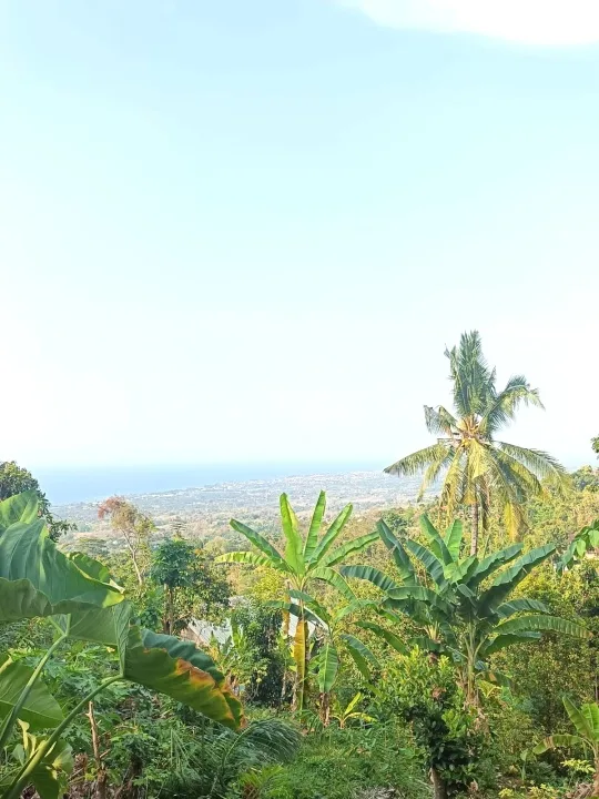 Direc Owner For Sale Premium Land And Local Ocean View House 2 Br In Aspal Road And City Light View - Image 2 of 4