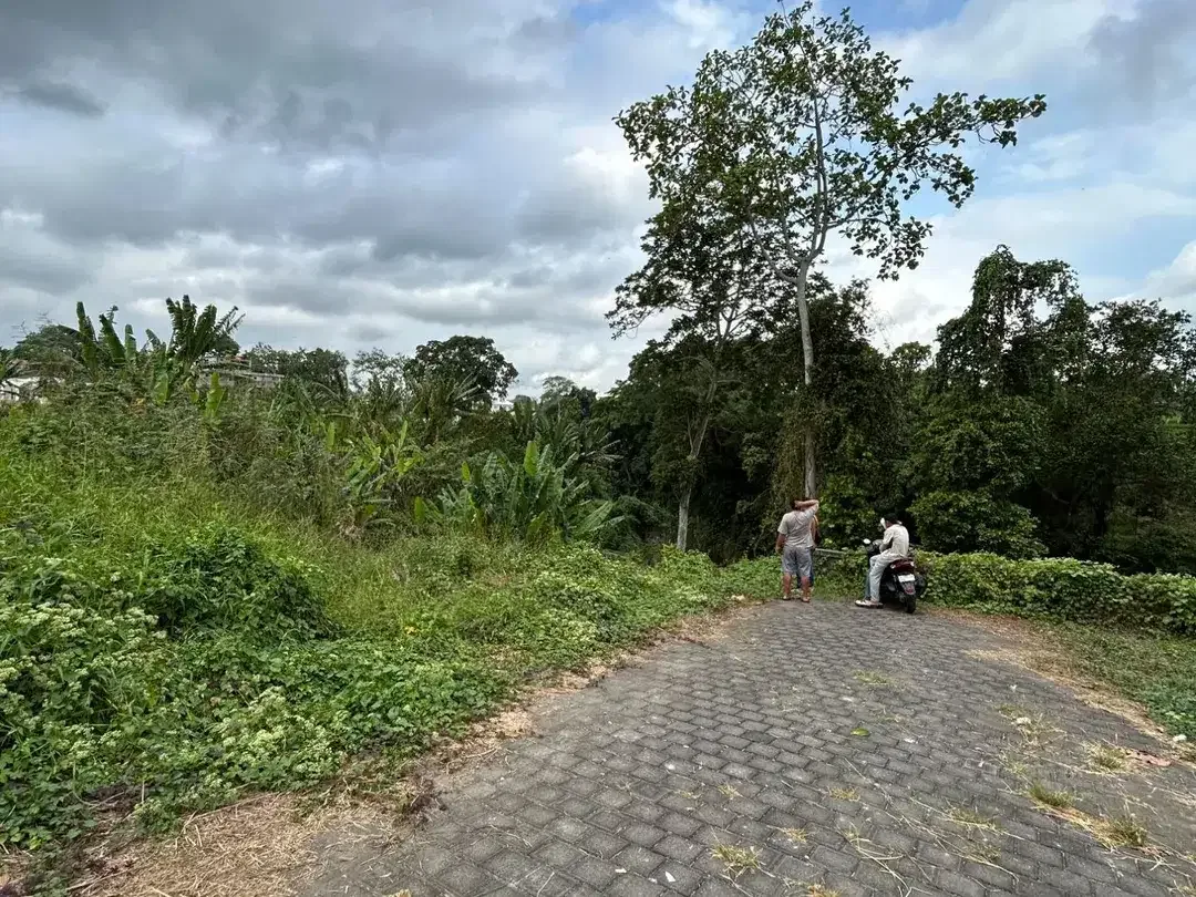 DIJUAL TANAH MURAH TABANAN – FULL VIEW - Image 2 of 6