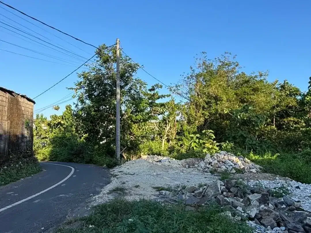 TANAH STRATEGIS DI UNGASAN 300M DARI JALAN RAYA ULUWATU - Image 4 of 6