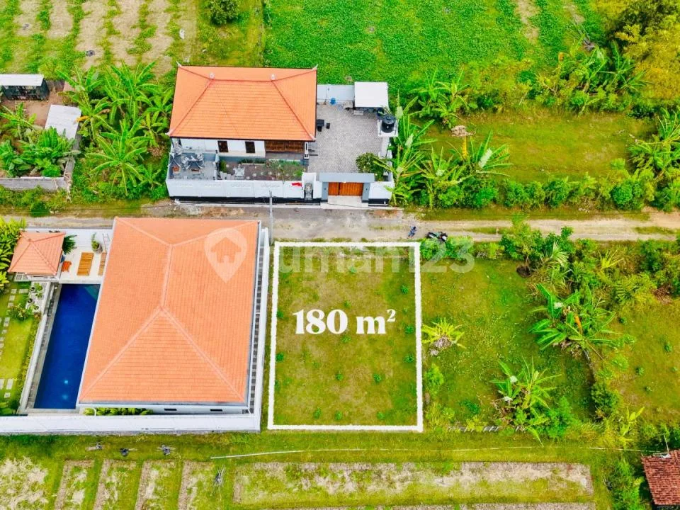 Di Jual Tanah di Central Lovina -Singaraja Bali - Image 3 of 4