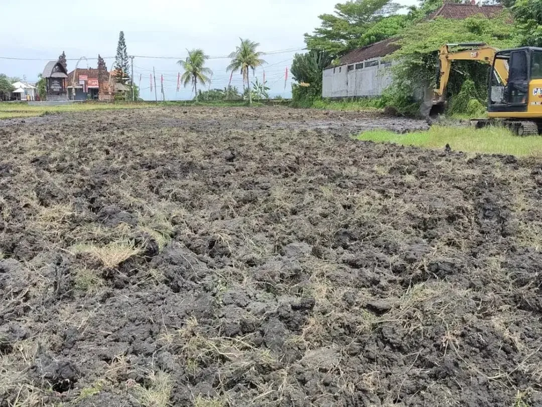 LAND FOR LEASEHOLD IN TANAH LOT BALI - Image 6 of 9