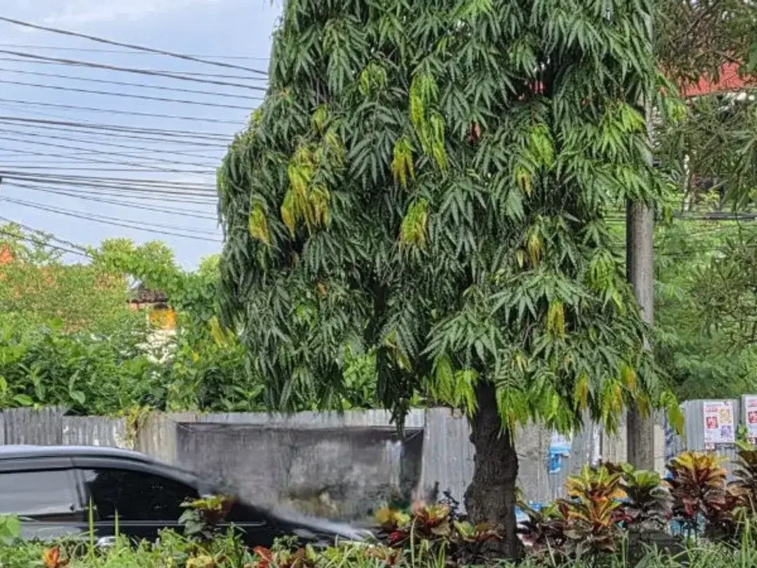 TANAH KAVLING PREMIUM  BYPASS NGURAH RAI SANUR DENPASAR BALI - Image 5 of 7