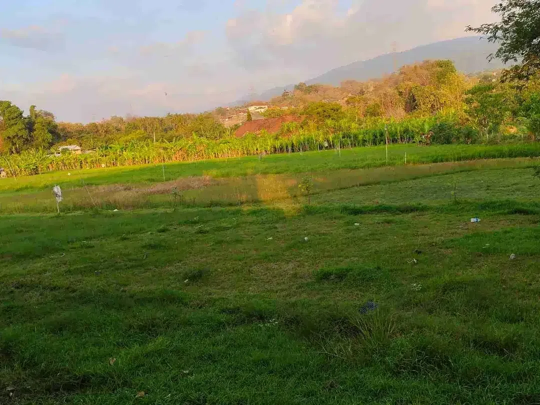 Di jual villa baru ,Lovina ,Buleleng , Bali - Image 8 of 9