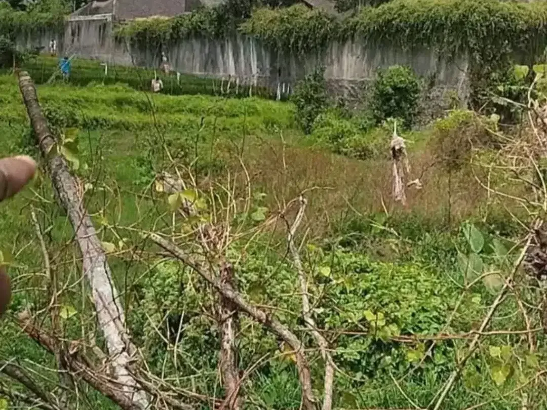Dijual Tanah Kavling Premium di Umalas Kerobokan – Lokasi Strategis Dekat Canggu, Seminyak & Kerobokan - Image 2 of 5