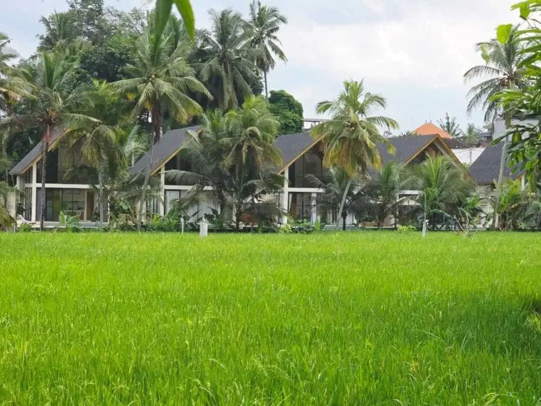Tanah Pemukiman Dekat Wood School di Pejeng- Ubud Area - Image 8 of 9