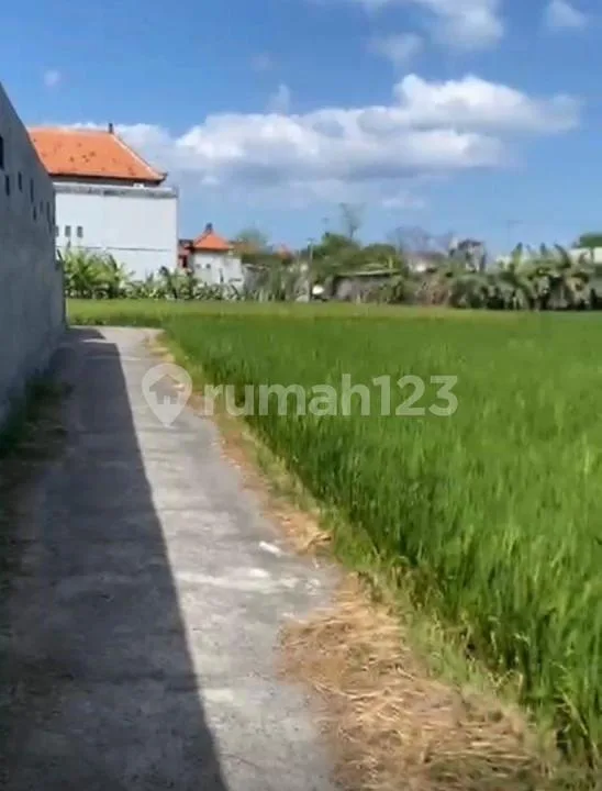 Kost Dijual Lokasi Ketewel Gianyar - Image 4 of 4