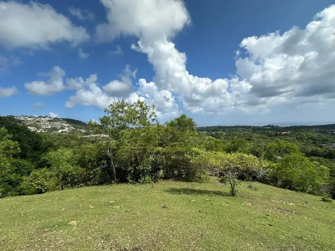 Land for Sale with Ocean View in Cemongkak Bingin Bali - Image 3 of 8
