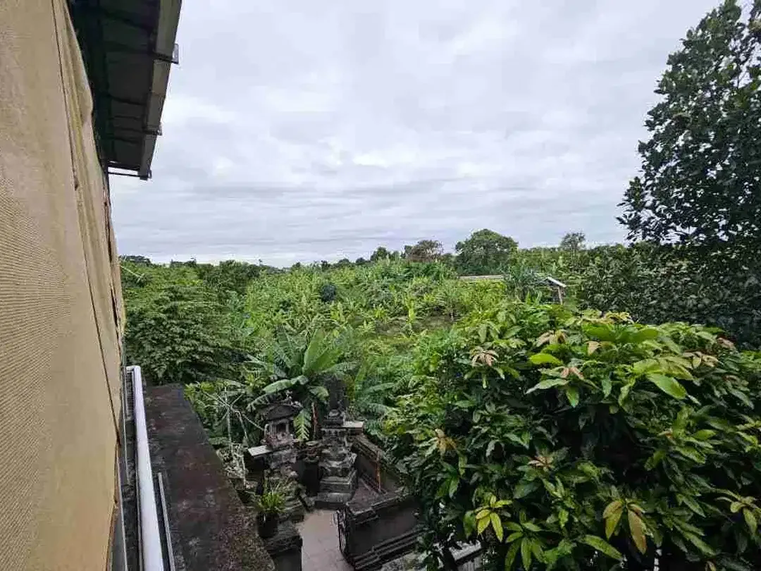 Rumah Pemandangan Sawah Asri Siap Huni - Image 4 of 10