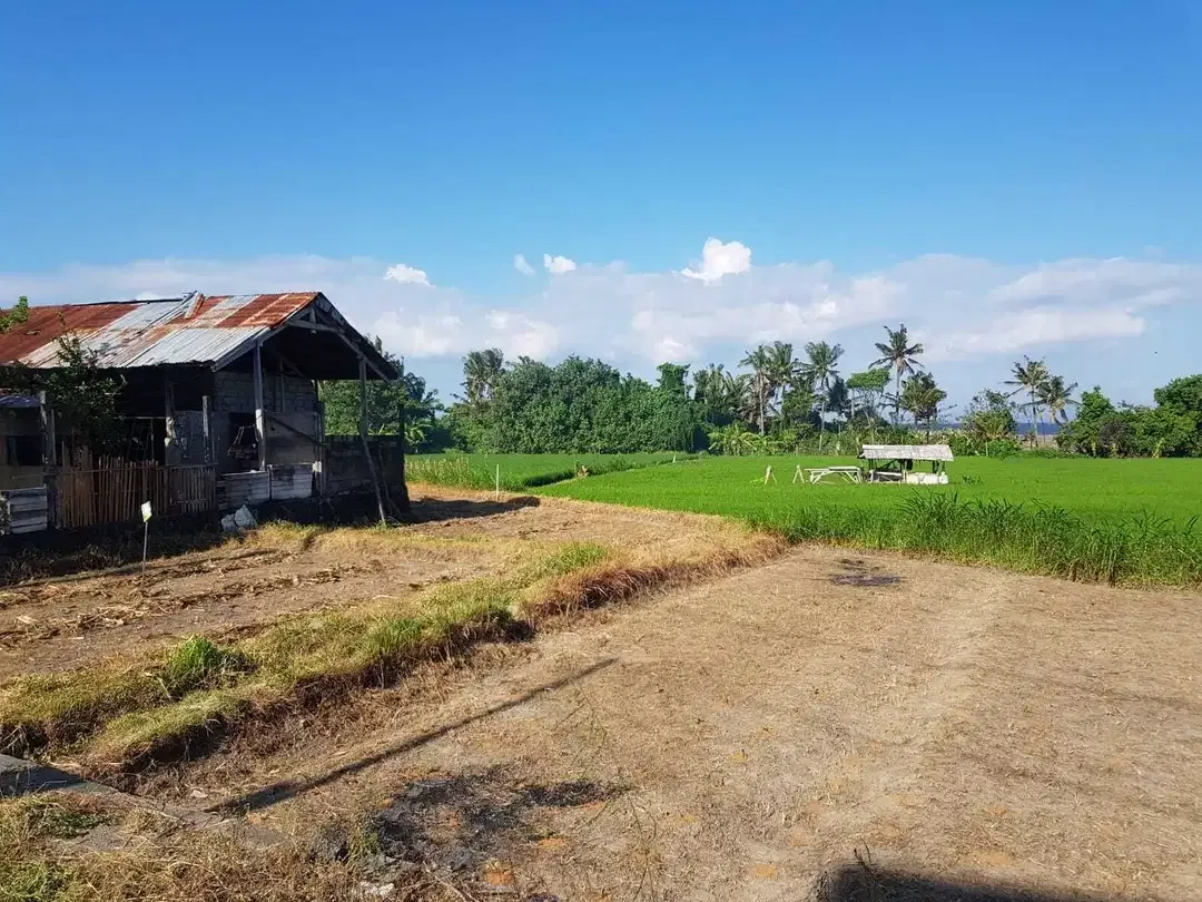 Dijual Tanah 3 are View Pantai Lingkungan Villa di Ketewel Gianyar - Image 5 of 7