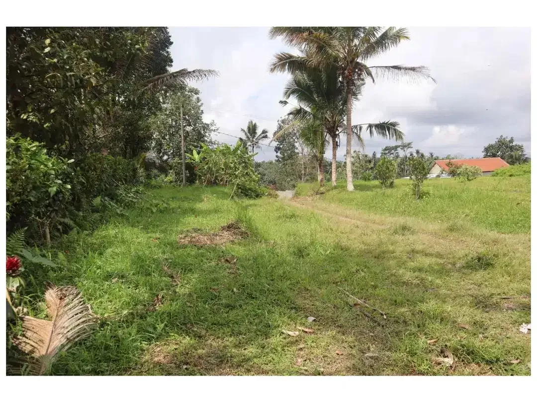 Dijual Tanah Strategis di Desa Apuan, Kecamatan Baturiti, Tabanan - Image 3 of 10