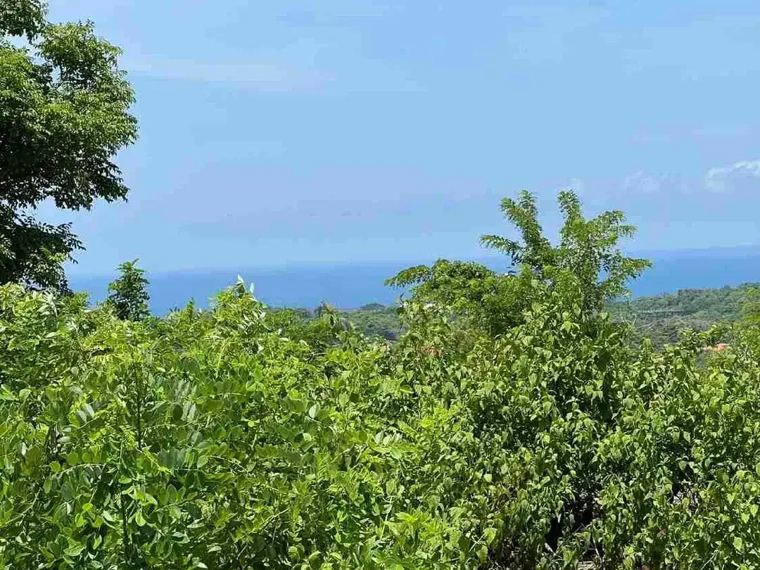 Tanah Premium Zona Pariwisata Ocean Blue Nusa Dua - Image 5 of 10