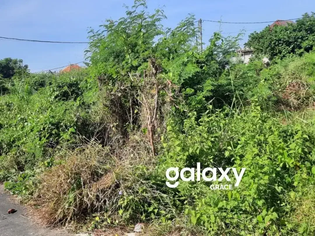 DIJUAL TANAH SELUKAT KERAMAS BLAHBATUH GIANYAR - Image 1 of 7