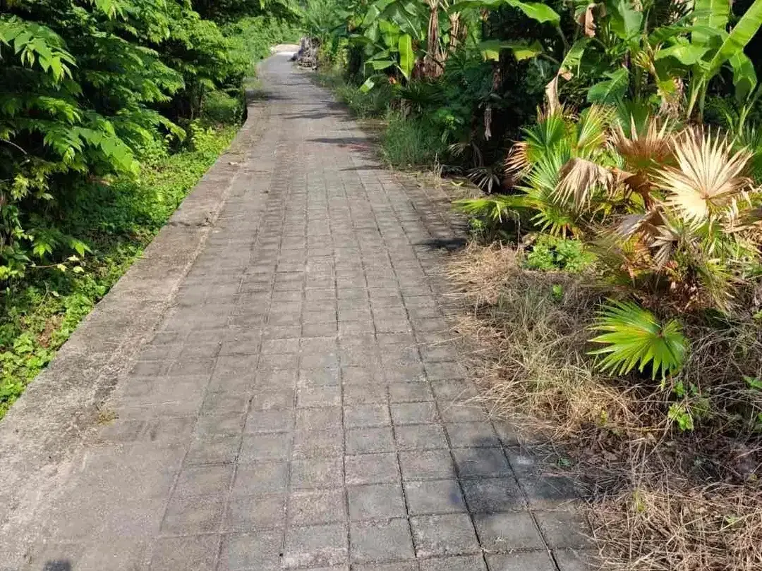 for  freehold or leasehold 
Located on Jalan Camplung tanduk 
GANG bunga kecil Seminyak - Image 9 of 9