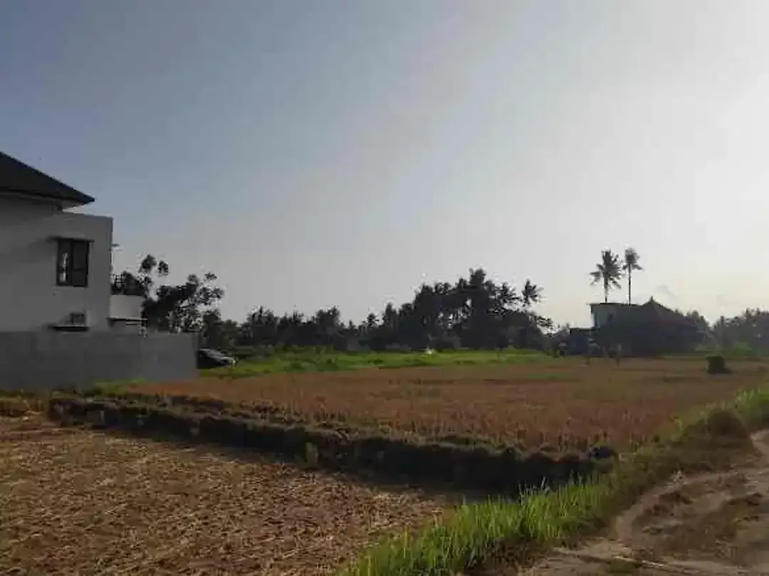 Dijual FREEHOLD atau LEASEHOLD rumah di daerah Saba, Gianyar. - Image 3 of 10
