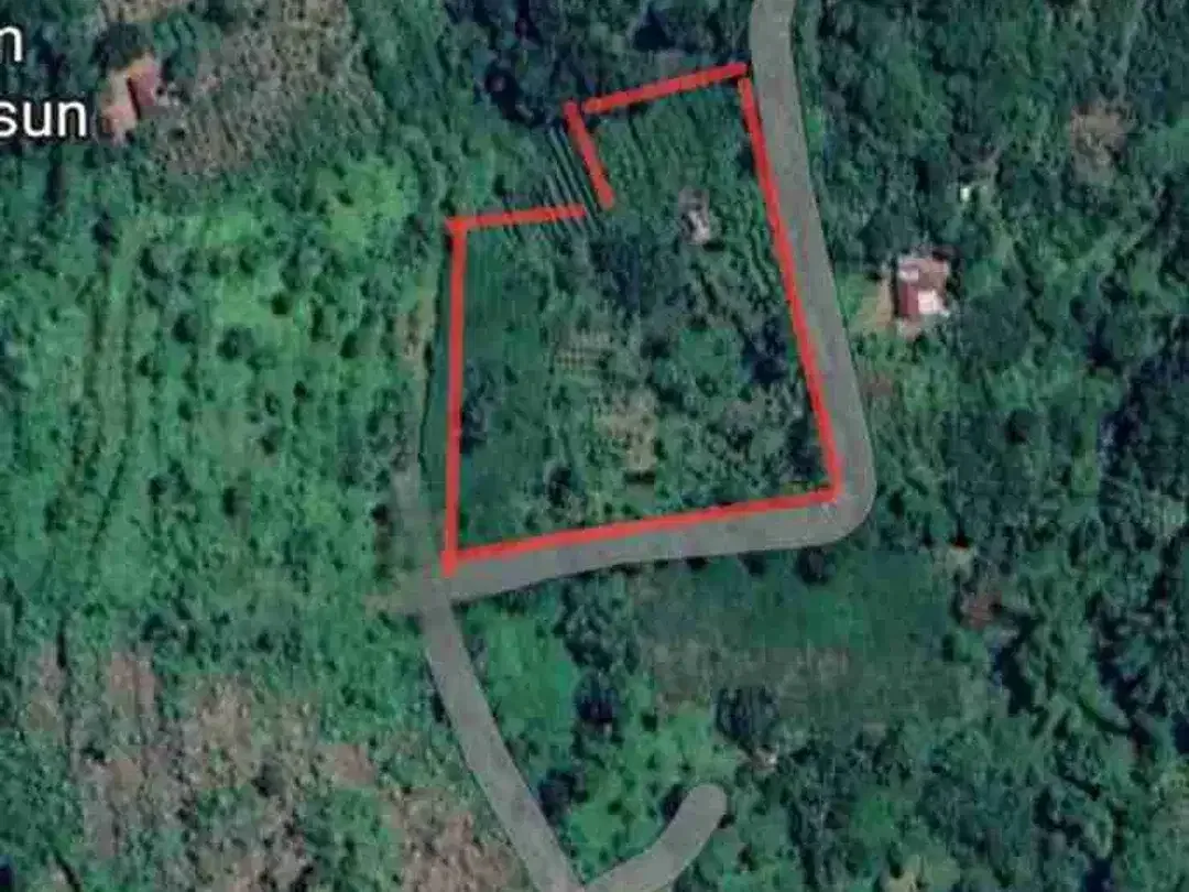 kebun durian datar cocok buat segala jenis tanaman dan murah dibawah pasaran - Image 1 of 8