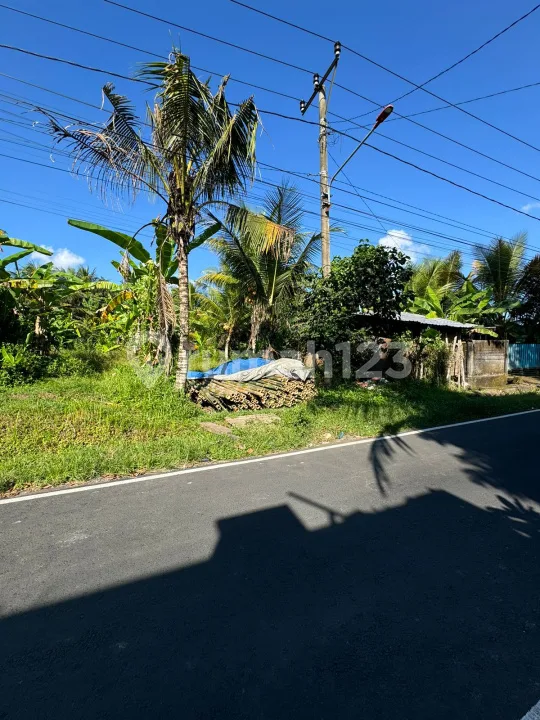 Dijual Tanah Pejeng Timur Ubud Akses Strategis Pinggir Jl Utama - Image 2 of 4