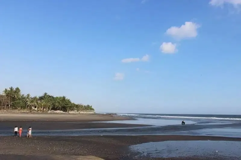 JUAL TANAH LUAS LOS PANTAI BERABAN TABANAN BALI - Image 3 of 10
