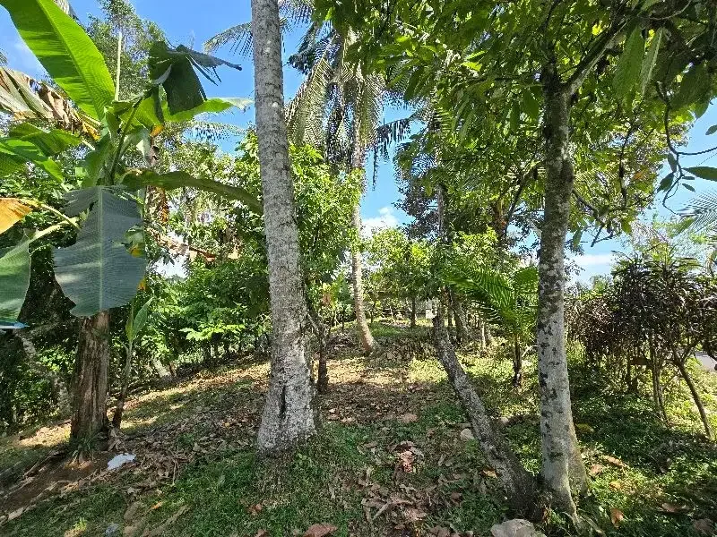 DIJUAL TANAH LOS SUNGAI di tabanan bali BEBATUAN - Image 8 of 10