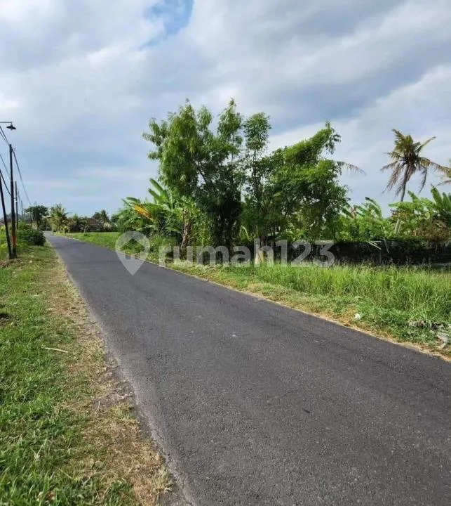Tanah Strategis Zona Pariwisata View Sawah di Tabanan - Image 2 of 4
