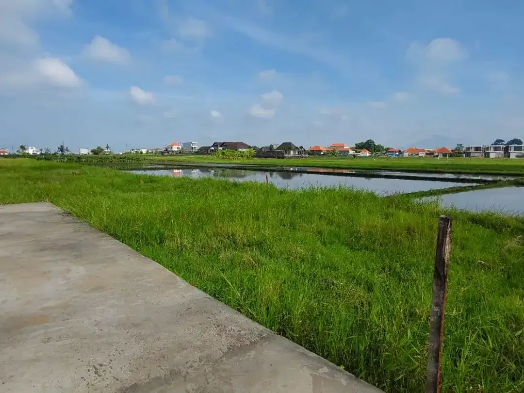 Pink Zone Land Close to Seseh Beach, 29 Year Leasehold Bali - Image 2 of 6