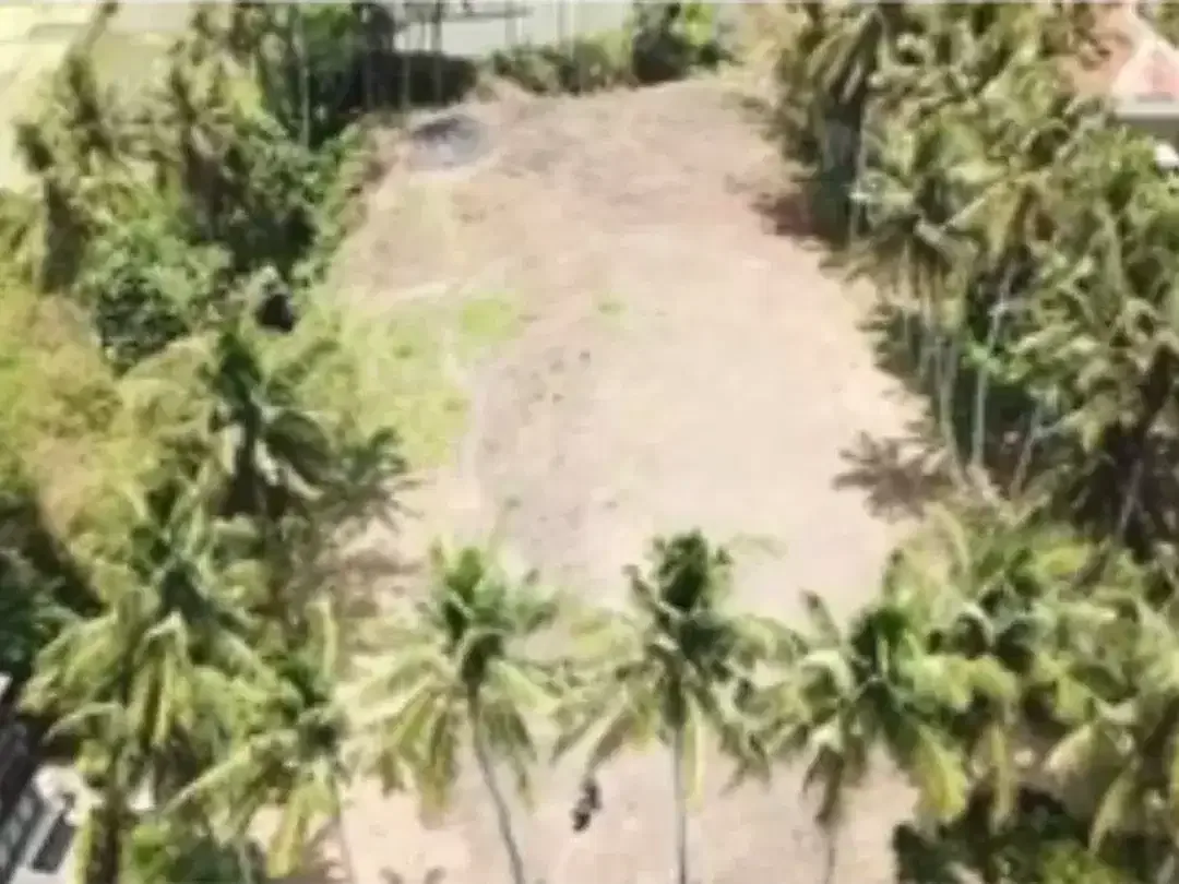 TANAH DENGAN THE BEST VIEW IN MAS UBUD GIANYAR - Image 8 of 9