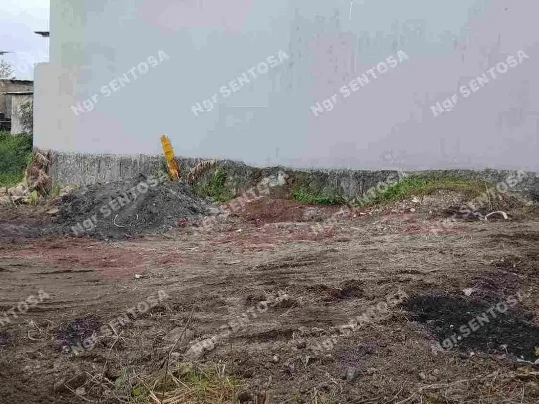 Tanah Cemagi Ocean View Termurah view sawah - Image 4 of 9