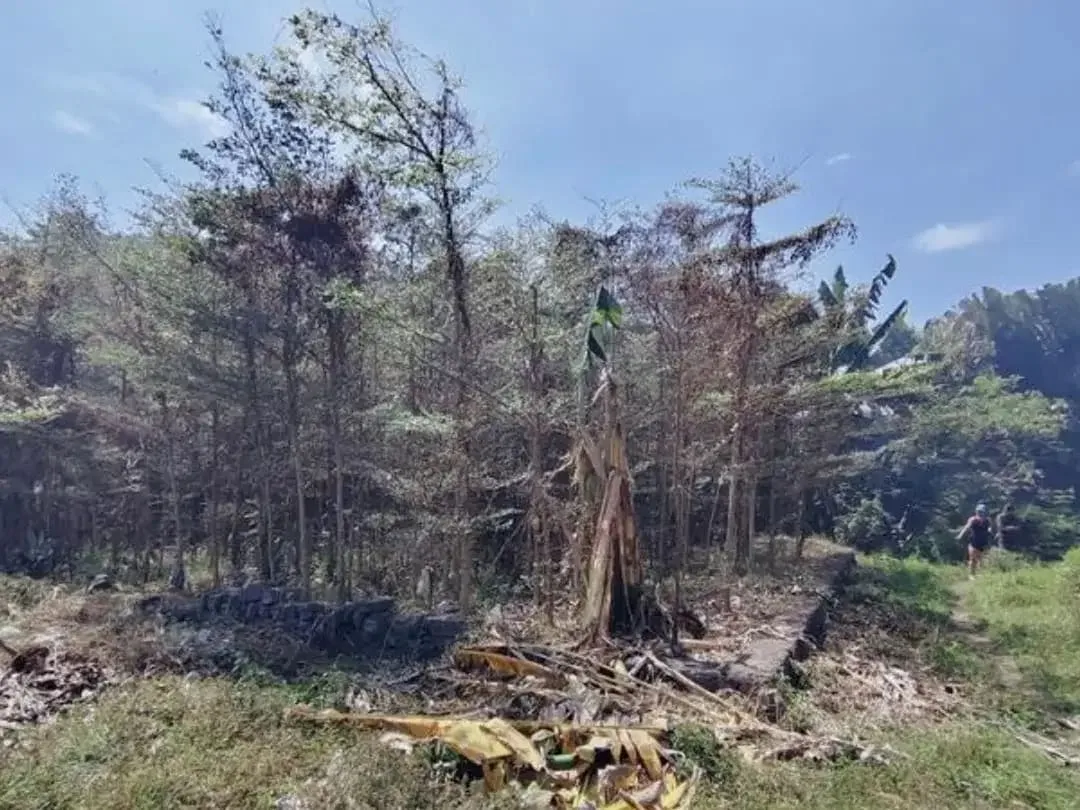TANAH SUBAK TELAGA KETEWEL GIANYAR - Image 5 of 8