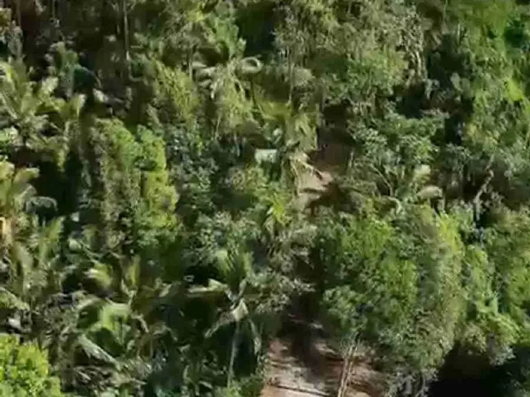 PRIME LOCATION IN WOS RIVER NEAR CAPELLA RESORT UBUD - Image 10 of 10