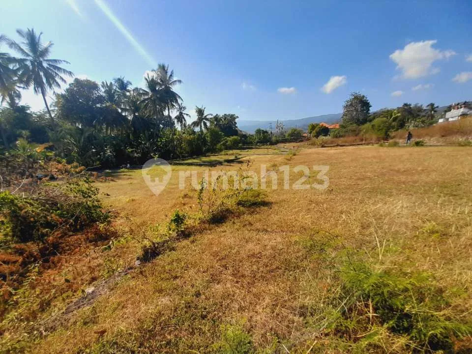 For Sale Tanah View Gunung Close To Central Lovina - Image 1 of 4