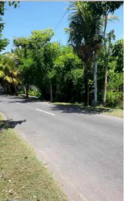 Tanah Murah Dkt Pantai Pererenan - Image 7 of 10