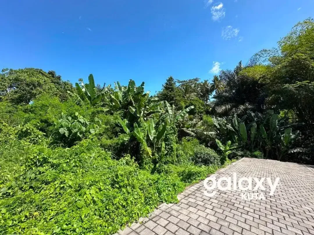 DIJUAL TANAH HOOK JUNGLE VIEW DEKAT KANTO LAMPO DI BENG GIANYAR - Image 8 of 10