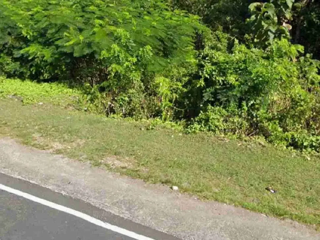 Red Zone Land For Leasehold On Uluwatu Main Road - Image 3 of 3