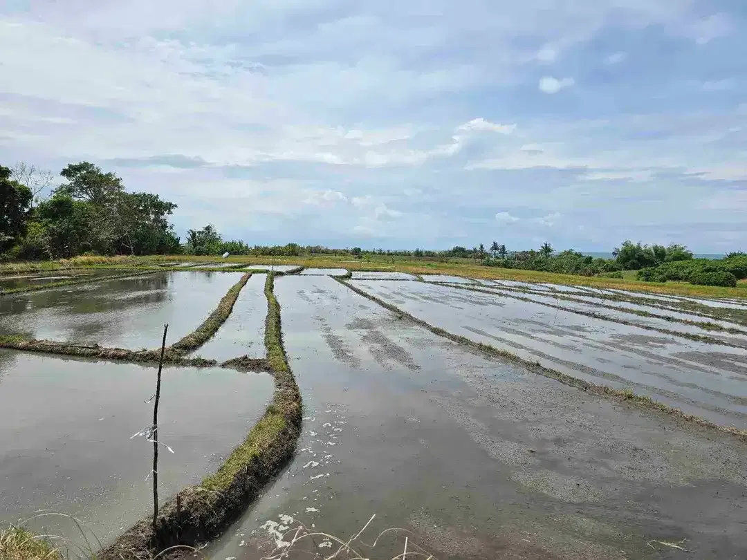 Dijual tanah view laut dekat pantai pasut di tabanan bali - Image 10 of 10