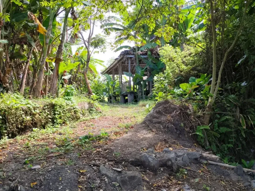 DIJUAL / DISEWAKAN TANAH PREMIUM DAN EKSLUSIF DEKAT PANTAI DI KERAMAS, GIANYAR - Image 1 of 10