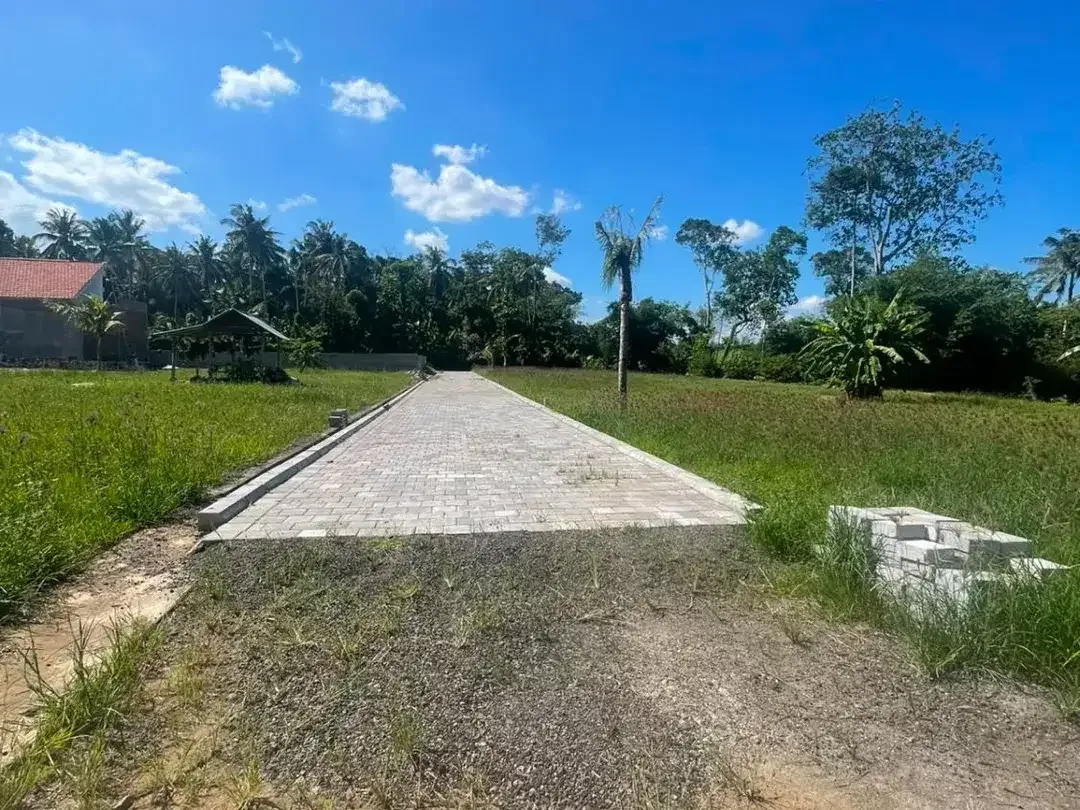 Dijual Tanah Kavling - 300 meter dari Pantai Kelecung, Tabanan. - Image 6 of 10