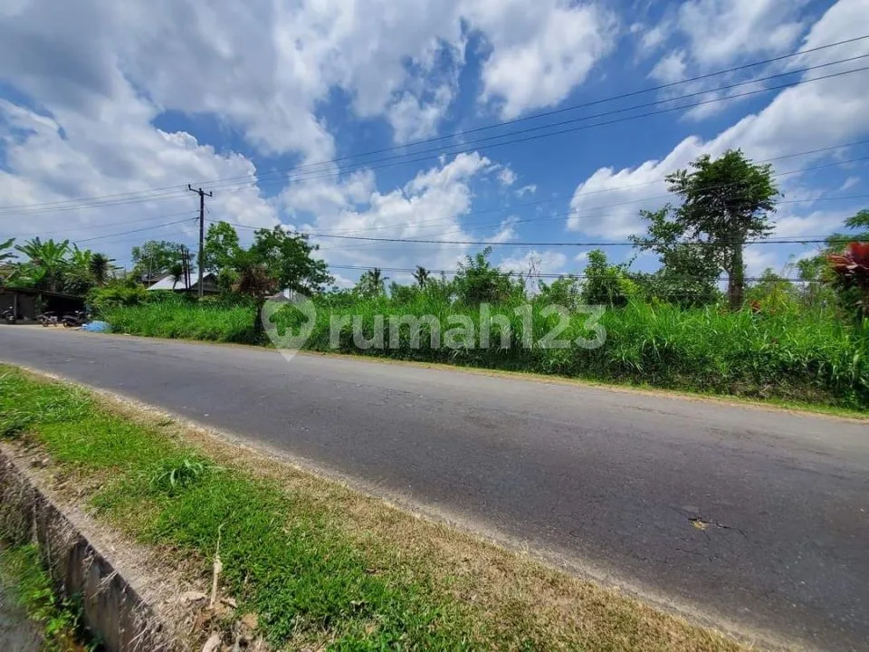 Dijual Tanah 76,85 Are View Gunung dan Sawah Dekat Jembatan Tukad Bangkung Petang - Image 3 of 4
